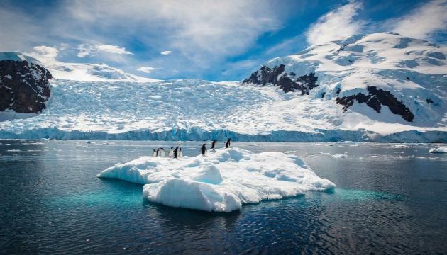 Antarktika'daki deniz buzu 43 yılın en düşük seviyesinde