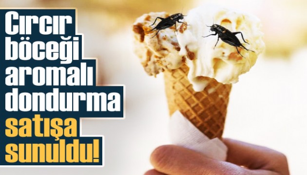 Almanya'da cırcır böceği aromalı dondurma satışa sunuldu