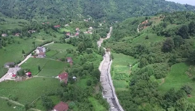 Artvin'de sahibini ısıran köpek kuduz çıktı; 3 köy karantina altına alındı