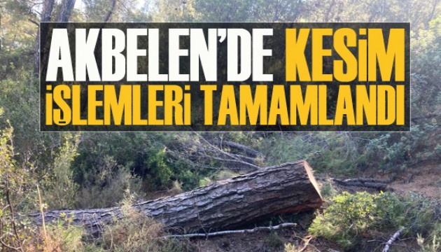 Muğla Valiliği: Akbelen’de kesim işlemleri tamamlandı