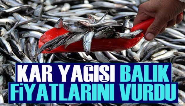 Kar yağışı balık fiyatlarını vurdu!