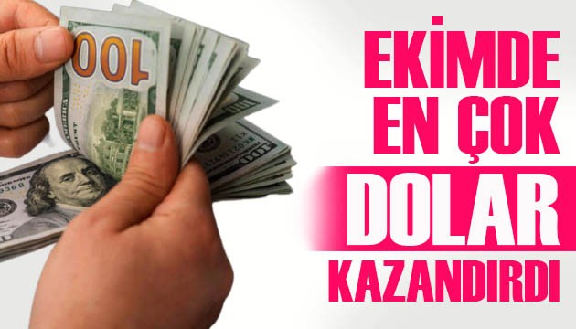 Ekim ayında en yüksek aylık reel getiri dolarda oldu!