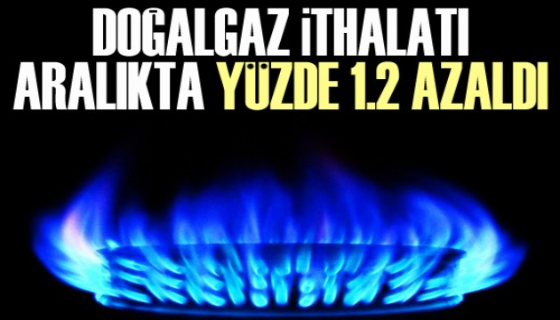 Doğalgaz ithalatı aralıkta azaldı