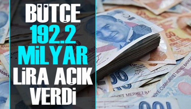 Bütçe 2021'de 192.2 milyar lira açık verdi