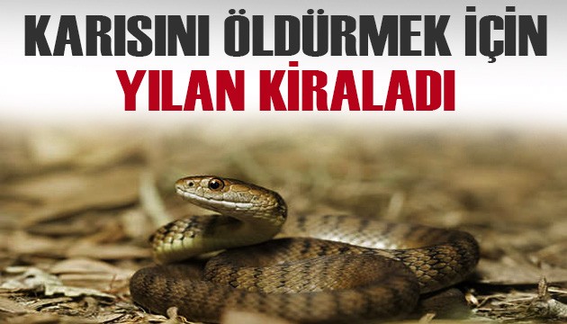 Hindistan’da adam, karısını öldürmek için yılan kiraladı