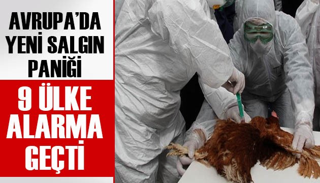 Avrupa’da yeni salgın paniği: 9 ülke alarma geçti