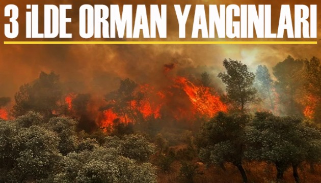 3 ilde orman yangınları