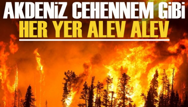 Akdeniz'in hemen hemen her ülkesi yangınlarla boğuşuyor