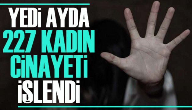 Yedi ayda 227 kadın cinayeti işlendi