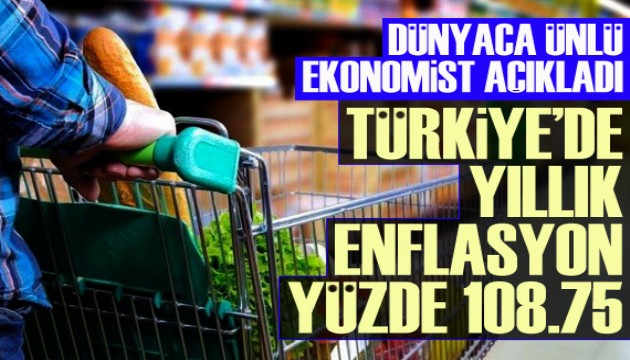 Dünyaca ünlü ekonomist açıkladı: Türkiye'de yıllık enflasyon yüzde 108.75