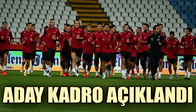 A Milli Futbol Takımı'nın Almanya, Rusya ve Sırbistan maçları kadrosu açıklandı