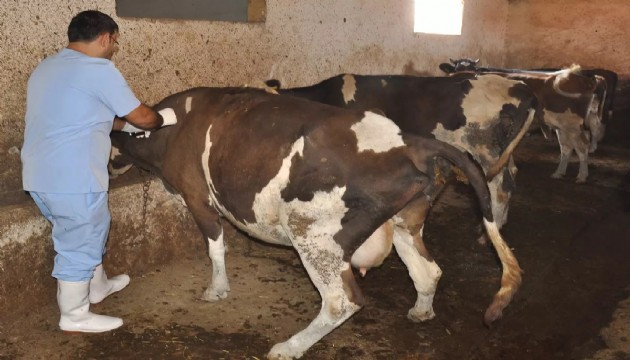 Bitlis'te bazı bölgeler karantinaya alındı