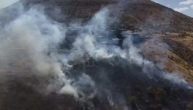 Ormanı yakan şahıs yakalandı