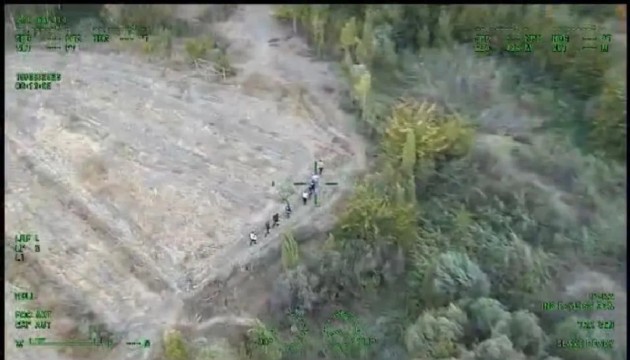 1 milyar liralık kenevir ele  geçirildi