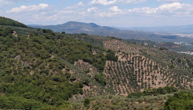 Balıkesir’de ormanlara giriş yasaklandı