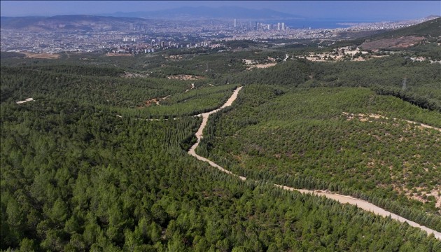 Valilik duyurdu: 31 Ekim'e kadar yasak
