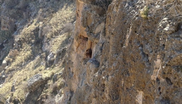 Kayalıklarda mahsur kalan keçi kurtarıldı