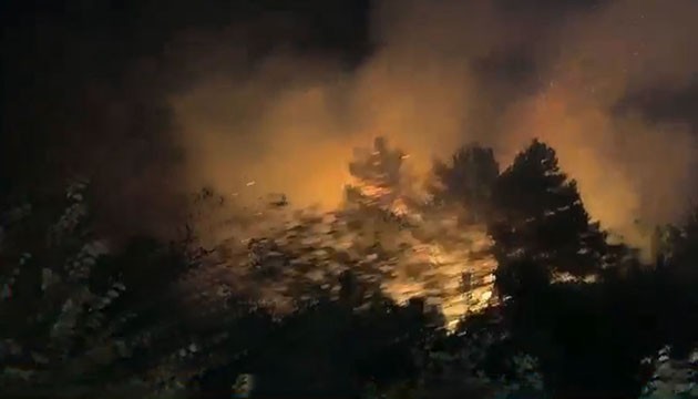 Beykoz'da orman yangını