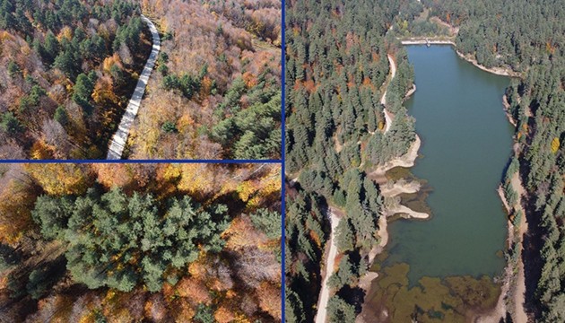 Bilecik ormanlarında sonbahar renkleri