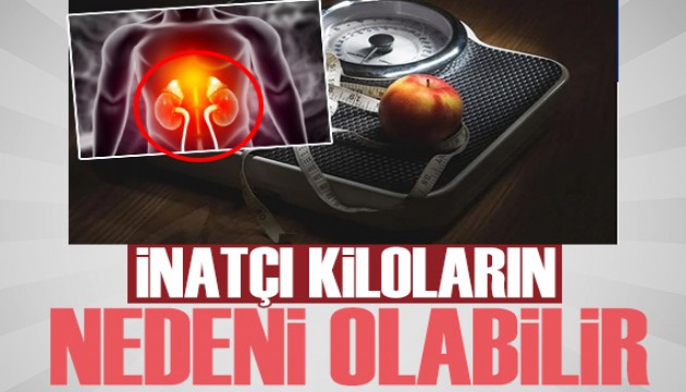 Uzman isim dikkat çekti: İnatçı kiloların sebebi bu olabilir!