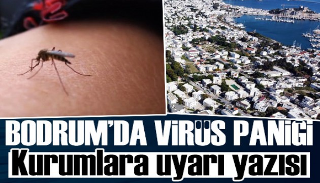 Bodrum'da virüs paniği: Sağlık müdürlüğü uyardı