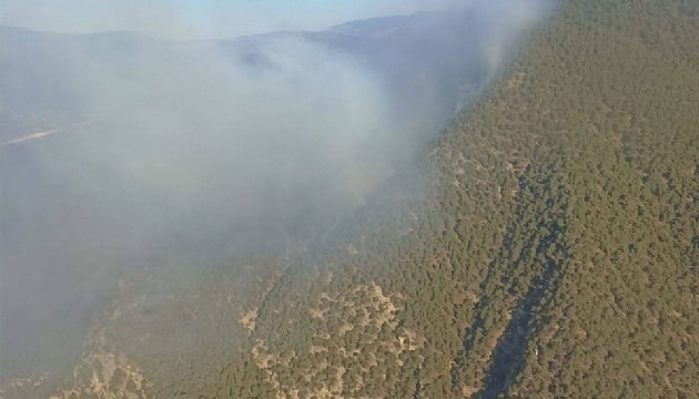 Bolu'da orman yangını devam ediyor