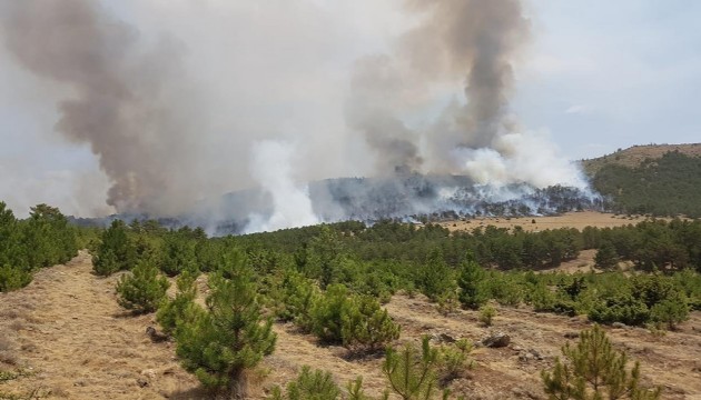 Burdur'da orman yangını çıktı