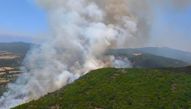 Bursa'da orman yangını