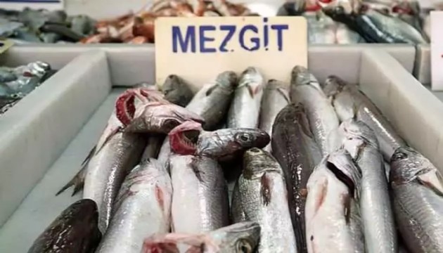 İstavrit ve mezgite rağbet