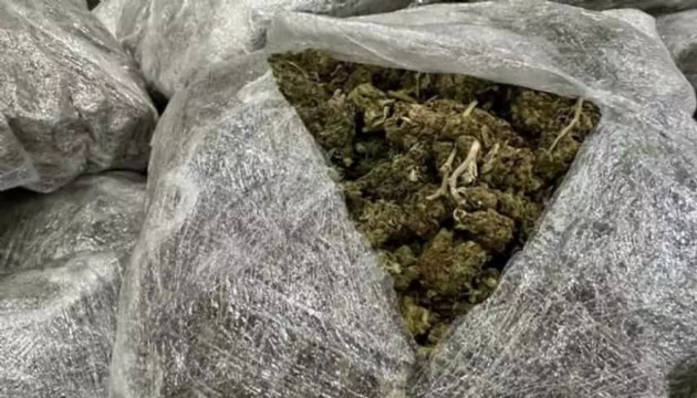 257 kilo skunk ele geçirildi