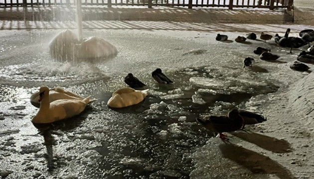 Ankara eksi 11 dereceyi gördü, Kuğulu Park buz tuttu