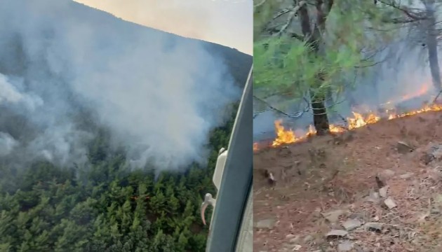 İzmir'de orman yangını