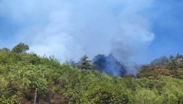 Adana'da korkutan yangın