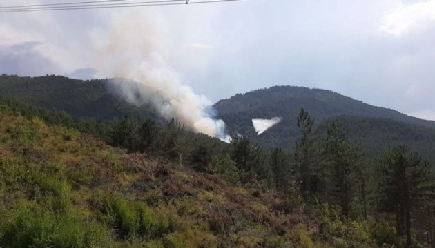 Bolu'da yangın! Helikopterler havalandı