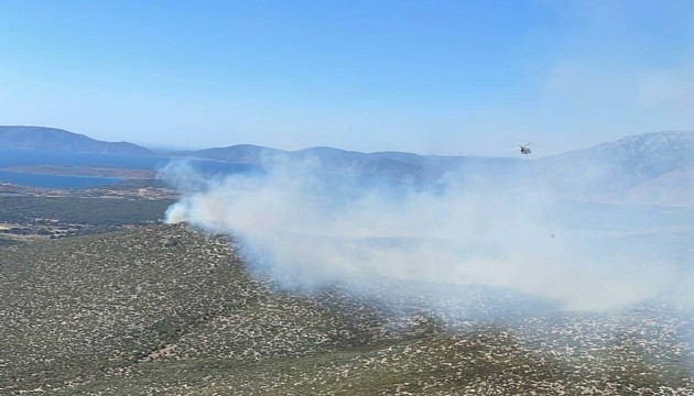 Çeşme'de orman yangını