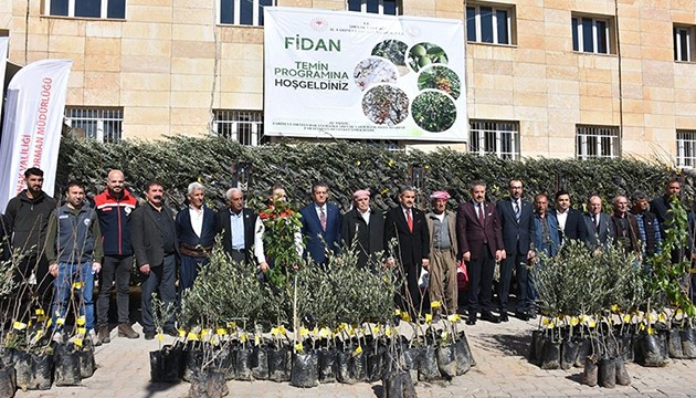 Çiftçilere binlerce fidan dağıtıldı