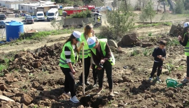 Yangın alanları yeşile bürünüyor