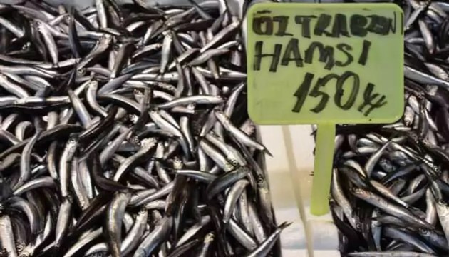 Hamsi ve istavrit tezgahlarda