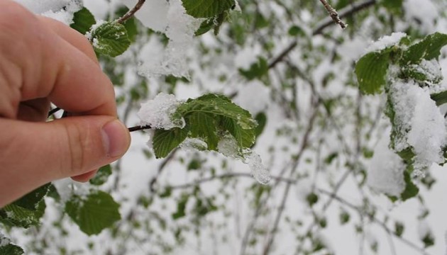 Meteoroloji'den zirai don uyarısı