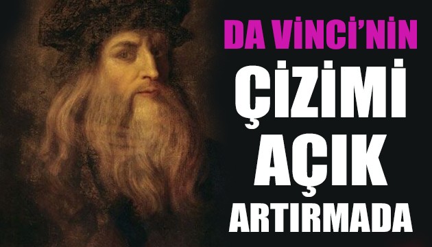 Leonardo da Vinci'nin ayı çizimi açık artırmaya çıkıyor