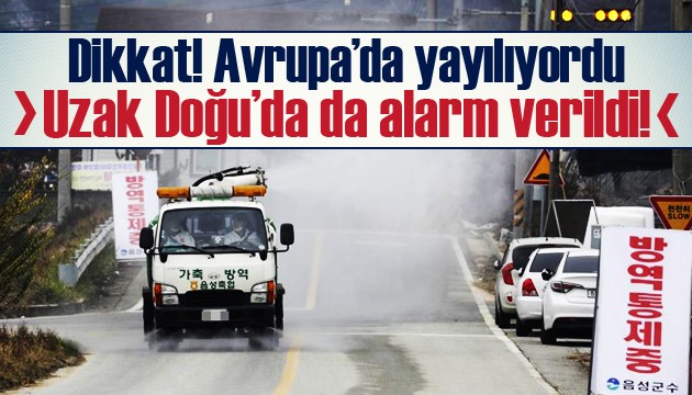 Uzak Doğu ve Avrupa'da kuş gribi alarmı!