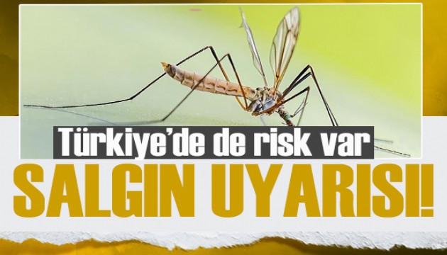Sivrisinek kaynaklı salgın uyarısı: Türkiye'de de risk var