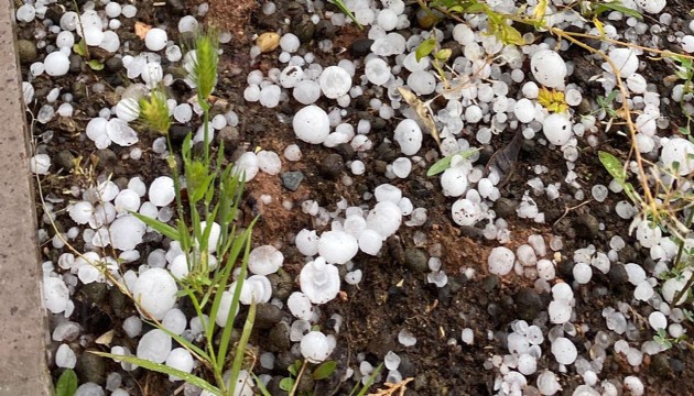 Isparta'da dolu yağışı 100 milyon lira zarara uğrattı