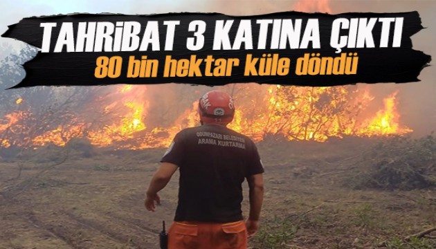 2025'te 6 bin 800 yangın çıktı: 80 bin hektar alan yandı