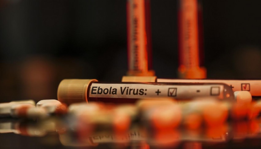 BM: Ebola salgınına karşı birlikte mücadele ediyoruz