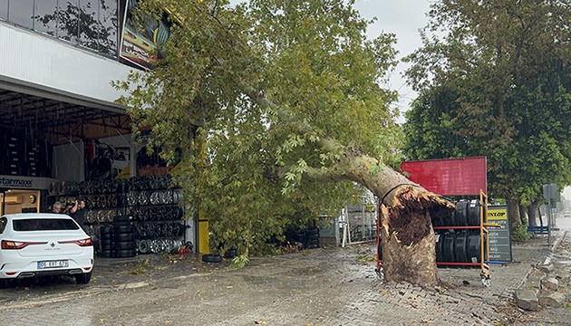 Adana'da şiddetli rüzgar etkili oldu