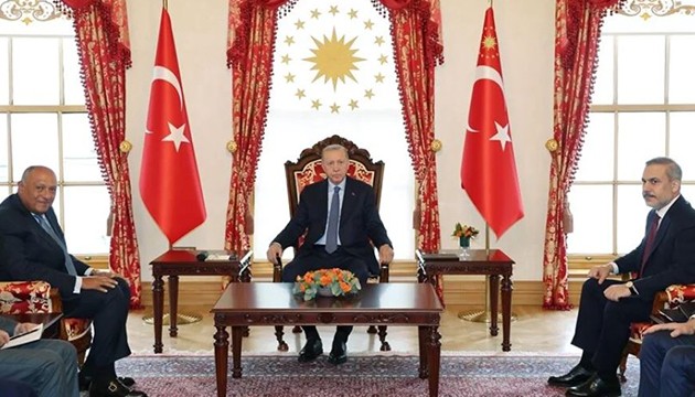 Erdoğan, Mısır Dışişleri Bakanı'nı kabul etti