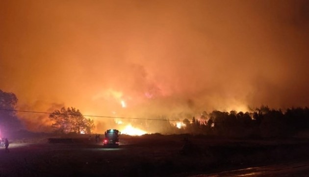 Bursa'da orman yangını