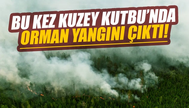 Kuzey Kutbu'nda orman yangını