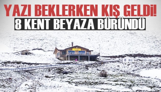 Yazı beklerken kış geldi: 8 kent beyaza büründü